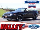 Thumbnail Photo 22 for 2000 Ford Mustang GT Convertible